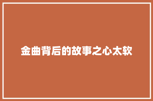 金曲背后的故事之心太软