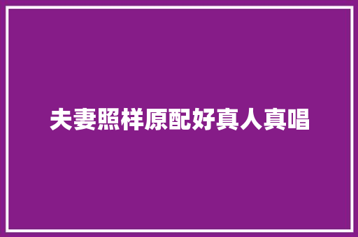 夫妻照样原配好真人真唱