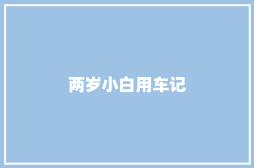 两岁小白用车记