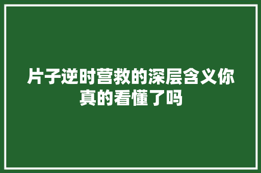 片子逆时营救的深层含义你真的看懂了吗