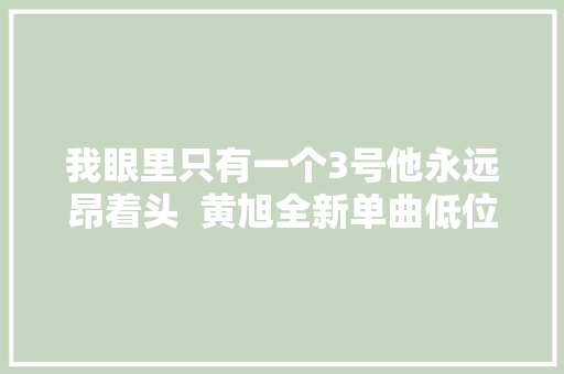 我眼里只有一个3号他永远昂着头  黄旭全新单曲低位致敬韦德 休闲娱乐