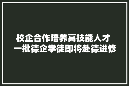 校企合作培养高技能人才 一批德企学徒即将赴德进修