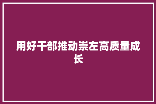 用好干部推动崇左高质量成长