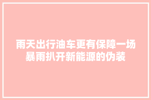 雨天出行油车更有保障一场暴雨扒开新能源的伪装  第1张