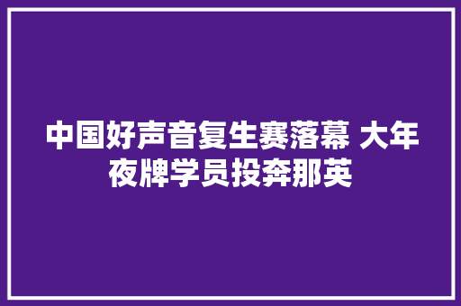 中国好声音复生赛落幕 大年夜牌学员投奔那英