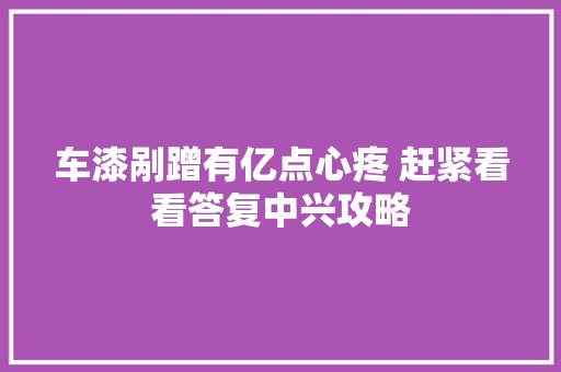 车漆剐蹭有亿点心疼 赶紧看看答复中兴攻略