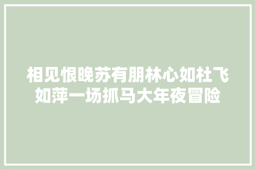 相见恨晚苏有朋林心如杜飞如萍一场抓马大年夜冒险