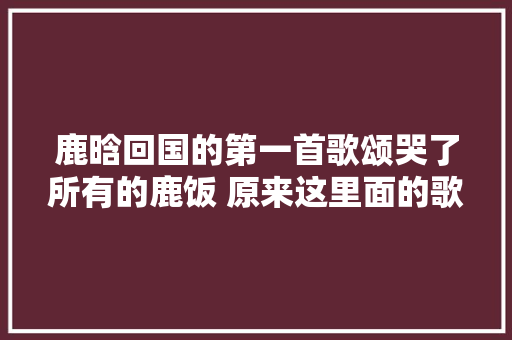 鹿晗回国的第一首歌颂哭了所有的鹿饭 原来这里面的歌词都是他难以言喻的心声
