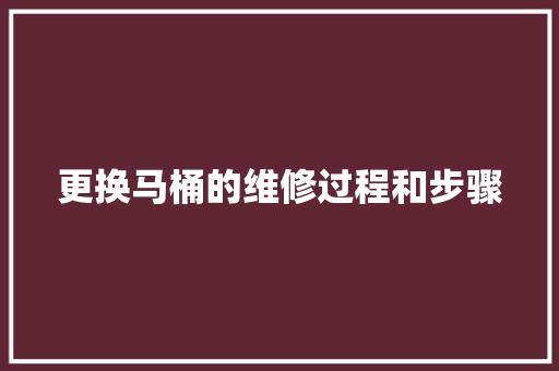 更换马桶的维修过程和步骤
