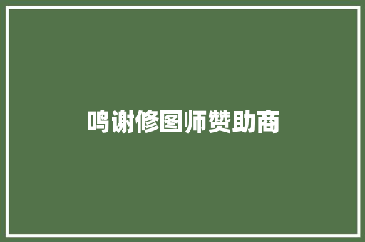 鸣谢修图师赞助商