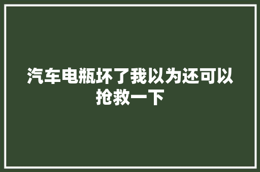 汽车电瓶坏了我以为还可以抢救一下 汽车知识