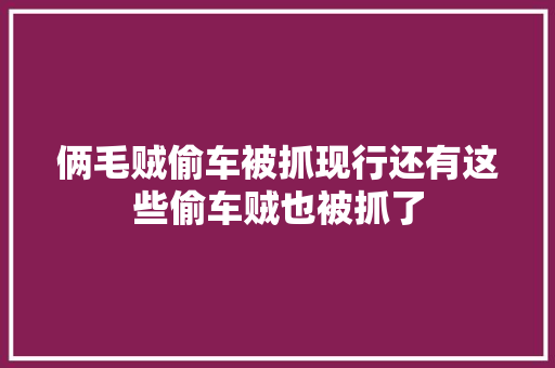 俩毛贼偷车被抓现行还有这些偷车贼也被抓了