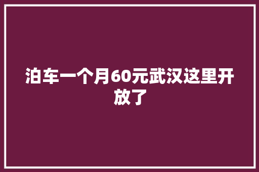 泊车一个月60元武汉这里开放了