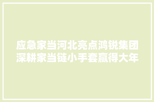 应急家当河北亮点鸿锐集团深耕家当链小手套赢得大年夜市场