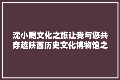 沈小赐文化之旅让我与您共穿越陕西历史文化博物馆之歌