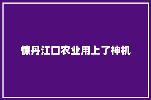 惊丹江口农业用上了神机
