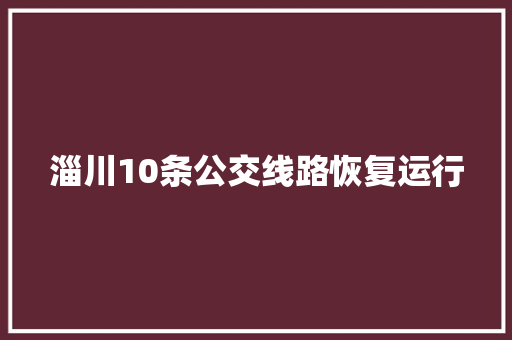 淄川10条公交线路恢复运行