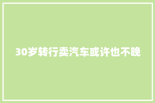 30岁转行卖汽车或许也不晚