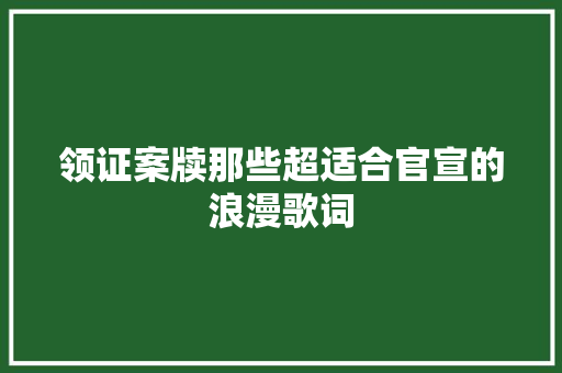 领证案牍那些超适合官宣的浪漫歌词