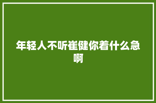 年轻人不听崔健你着什么急啊
