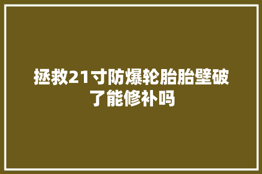 拯救21寸防爆轮胎胎壁破了能修补吗