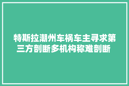 特斯拉潮州车祸车主寻求第三方剖断多机构称难剖断 费用约8万