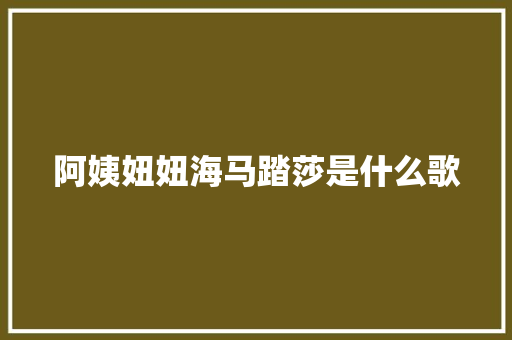 阿姨妞妞海马踏莎是什么歌