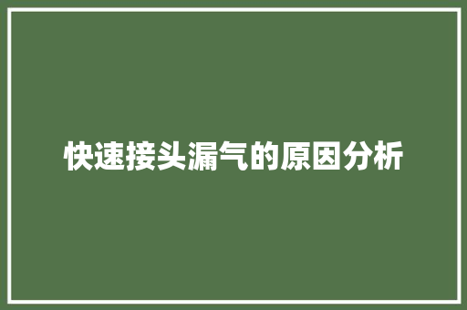 快速接头漏气的原因分析
