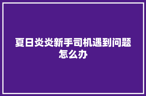 夏日炎炎新手司机遇到问题怎么办