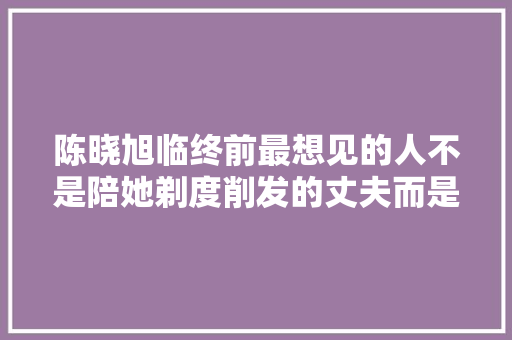 陈晓旭临终前最想见的人不是陪她剃度削发的丈夫而是这个汉子