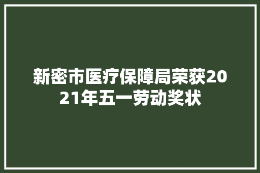 新密市医疗保障局荣获2021年五一劳动奖状