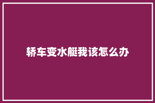 轿车变水艇我该怎么办 汽车知识