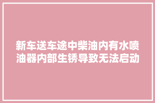新车送车途中柴油内有水喷油器内部生锈导致无法启动的故障案例