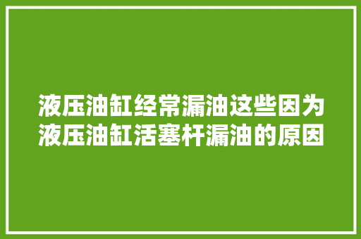 液压油缸经常漏油这些因为液压油缸活塞杆漏油的原因你知道吗