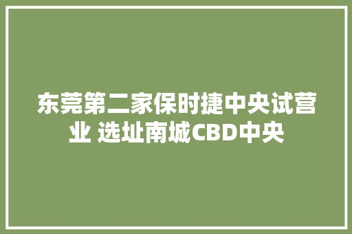 东莞第二家保时捷中央试营业 选址南城CBD中央