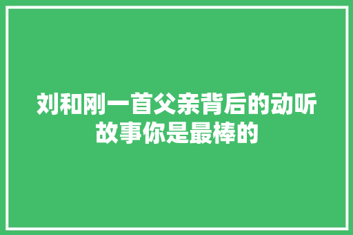 刘和刚一首父亲背后的动听故事你是最棒的