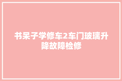 书呆子学修车2车门玻璃升降故障检修 汽车知识