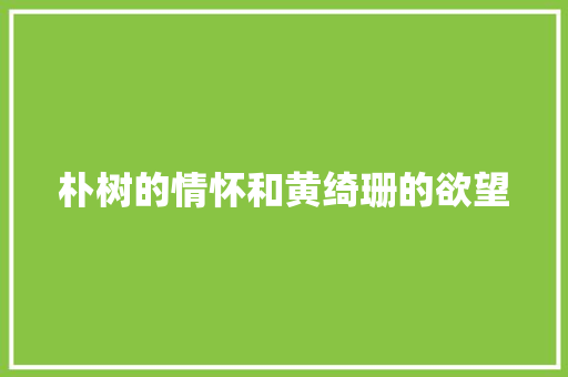 朴树的情怀和黄绮珊的欲望