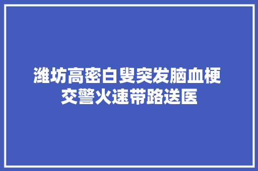 潍坊高密白叟突发脑血梗 交警火速带路送医
