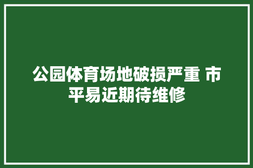 公园体育场地破损严重 市平易近期待维修