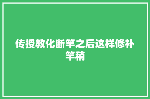 传授教化断竿之后这样修补竿稍