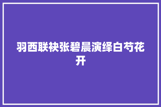 羽西联袂张碧晨演绎白芍花开
