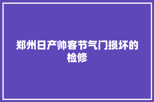 郑州日产帅客节气门损坏的检修