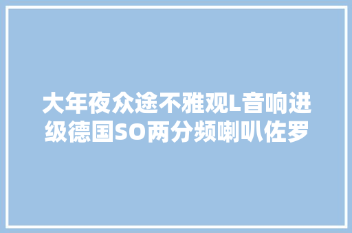 大年夜众途不雅观L音响进级德国SO两分频喇叭佐罗功放
