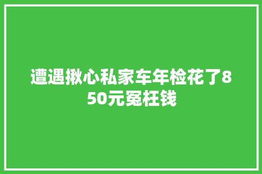 遭遇揪心私家车年检花了850元冤枉钱