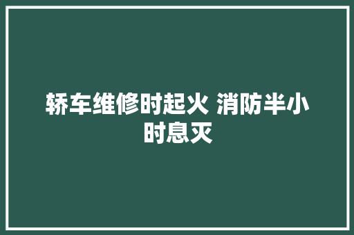轿车维修时起火 消防半小时息灭