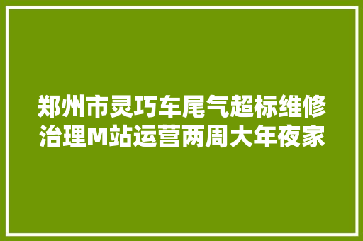 郑州市灵巧车尾气超标维修治理M站运营两周大年夜家的迷惑商报替您问