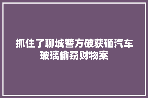 抓住了聊城警方破获砸汽车玻璃偷窃财物案
