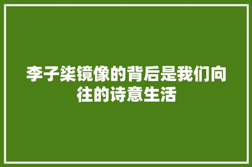 李子柒镜像的背后是我们向往的诗意生活 休闲娱乐