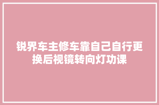 锐界车主修车靠自己自行更换后视镜转向灯功课